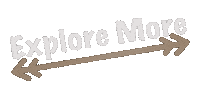 Adventure Explore Sticker