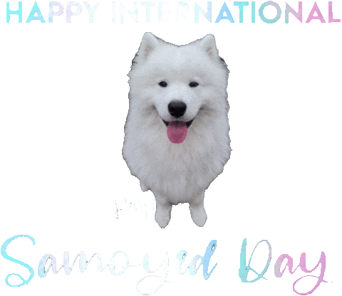 Sammy Benji Sticker