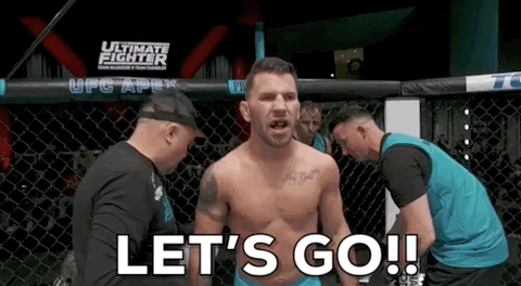 Lets Go Lg GIF by UFC