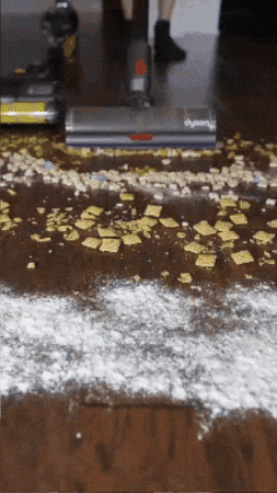 FranMaurice giphygifmaker GIF