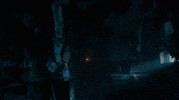 Adow GIF by A Discovery of Witches