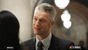 Episode 8 Nbc GIF by Law & Order