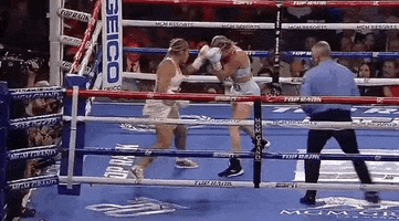 toprank fight boxing fighting espn GIF