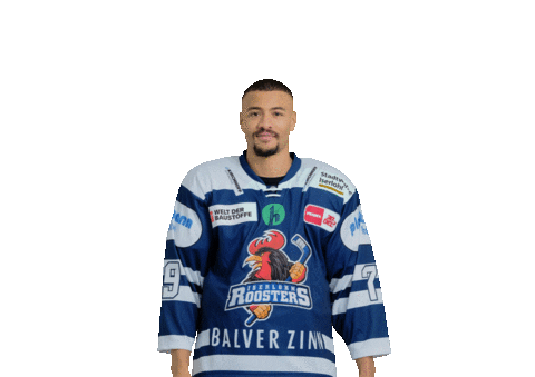 Ice Hockey Sticker by Iserlohn Roosters