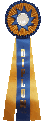 someswbmalardalen ribbon diploma swb youngster Sticker