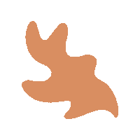 apolondon orange leaf brown shape Sticker