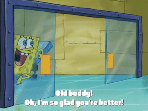 season 4 GIF by SpongeBob SquarePants