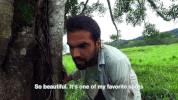 viceland GIF by JUNGLETOWN