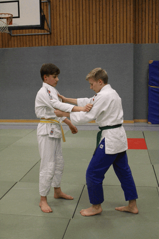 redtigerclub giphyupload judo martials arts o-goshi GIF