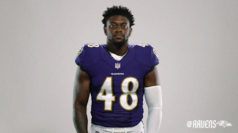 Charm City Football GIF by Baltimore Ravens