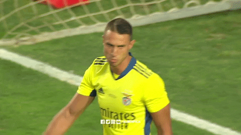 High Five Sl Benfica GIF by Sport Lisboa e Benfica