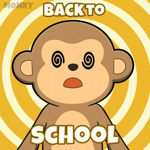 School Class GIF by Wise Monkey Meme