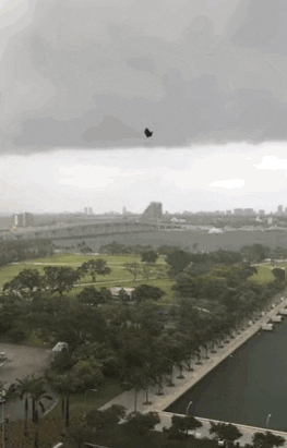 GIF by Mashable