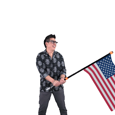 Usa Nacho Sticker by BOBO