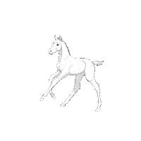 Horse Cheval Sticker