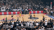 GIF by NBL