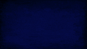 Field Hockey Dragons GIF