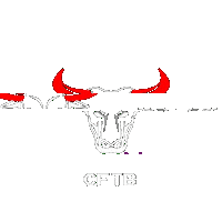 cftb cftb crossfittb crosstb Sticker