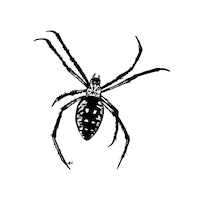 MadreSierra bbq grill gourmet parrilla Sticker