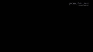 Logo Intro Animation Library Series 8