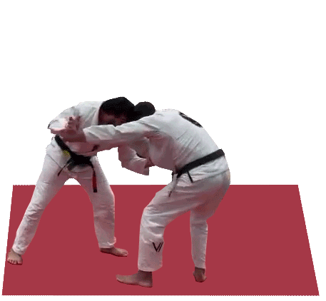 Judo Jiujitsu Sticker by Virtue BJJ
