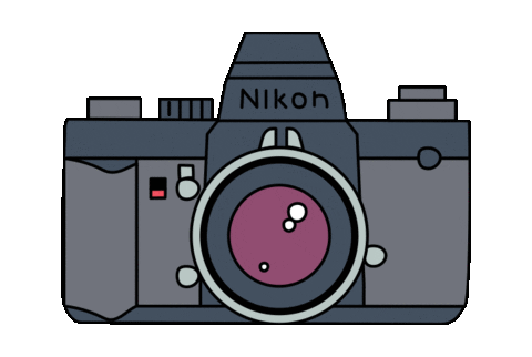 fr3udi giphyupload film analog camera Sticker
