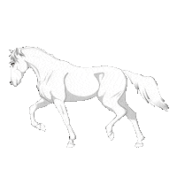 Horse Cheval Sticker
