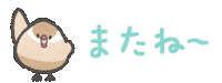 Bird バイバイ Sticker