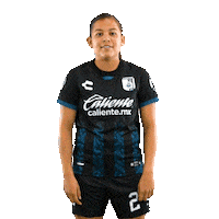 Siempre Gallos Sticker by Club Querétaro