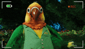 Themaskedsinger GIF by Reality Club FOX