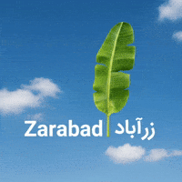 Iran GIF
