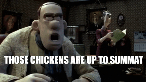 laughingacademy giphygifmaker chicken run aardman animation those chickens are up to something GIF