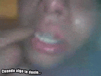 Perron Macizo GIF by Vida es Primero