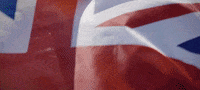 Sport Racing GIF by W Series