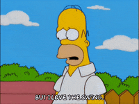 homer simpson GIF