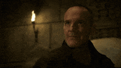 Agentsofshield GIF by ABC Network
