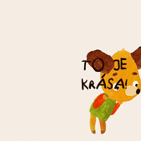 Mlsnemedvedipribehy radost miska medved bionaut GIF