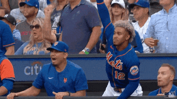 Lets Go Sport GIF by MLB