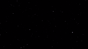 Background GIF by Originals