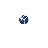 dynamicsports mma martial arts kickboxing sparring Sticker