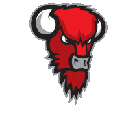 Final Score Basketball Sticker by Bisons