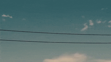 GIF by Idiocracy