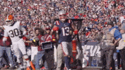 Mack Hollins Football GIF by New England Patriots