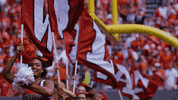 Nc State Wolfpack GIF by NC State Athletics