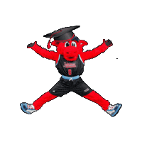 University Of Illinois Chicago Graduation Sticker by thisisuic
