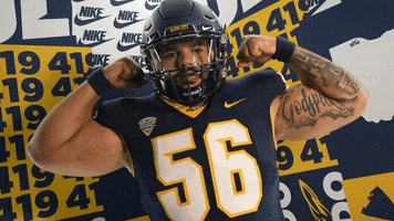 Football Rogers GIF by Toledo Rockets