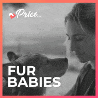 Dog Shopping GIF by price.com