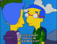 season 6 episode 25 GIF