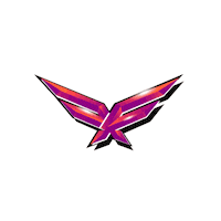 aussie rules flyers Sticker by AFL
