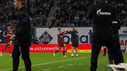 Football Hug GIF by FC Schalke 04